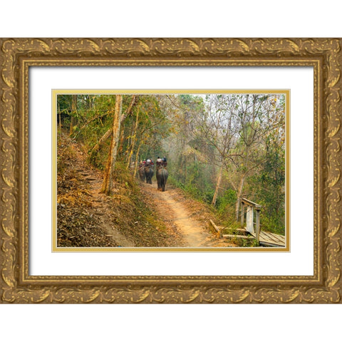 Thailand - 314 Gold Ornate Wood Framed Art Print with Double Matting by Heine, Ben
