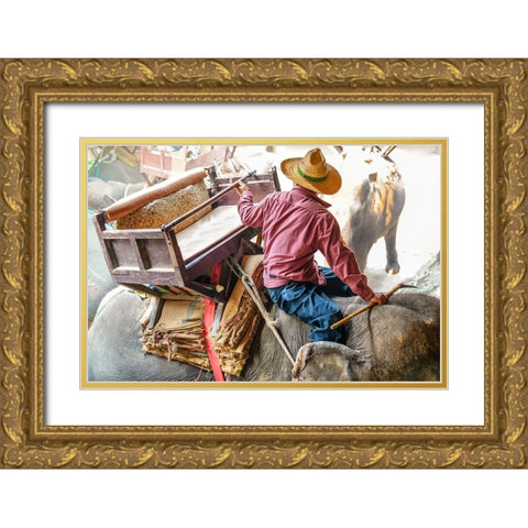 Thailand - 343 Gold Ornate Wood Framed Art Print with Double Matting by Heine, Ben