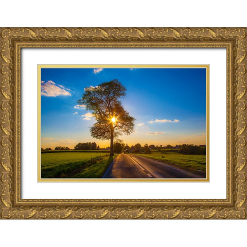 The Gift of Life Gold Ornate Wood Framed Art Print with Double Matting by Heine, Ben