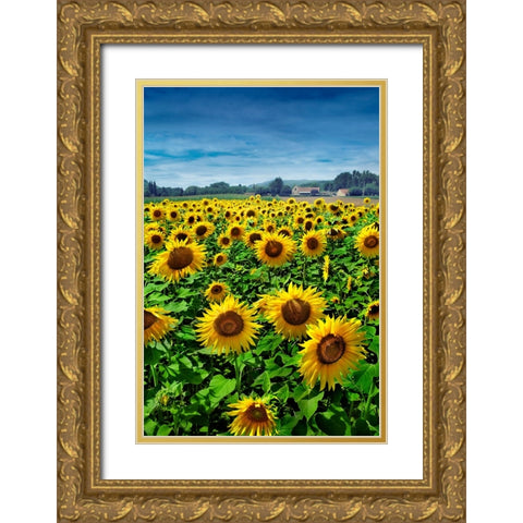 Turn your Face to the Sun Gold Ornate Wood Framed Art Print with Double Matting by Heine, Ben