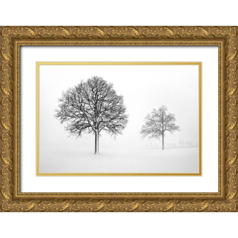 We Grow and Die Together Gold Ornate Wood Framed Art Print with Double Matting by Heine, Ben