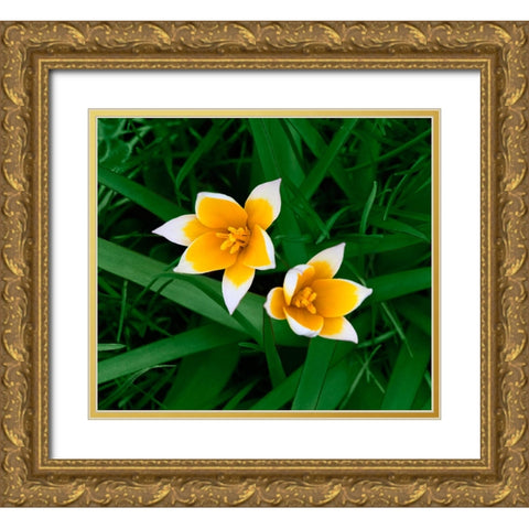 Birth Gold Ornate Wood Framed Art Print with Double Matting by Heine, Ben