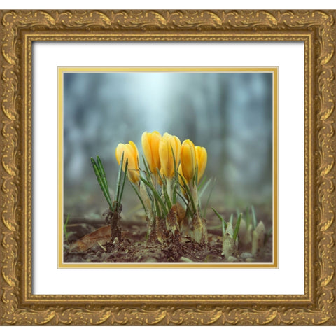 Crocuses Gold Ornate Wood Framed Art Print with Double Matting by Heine, Ben