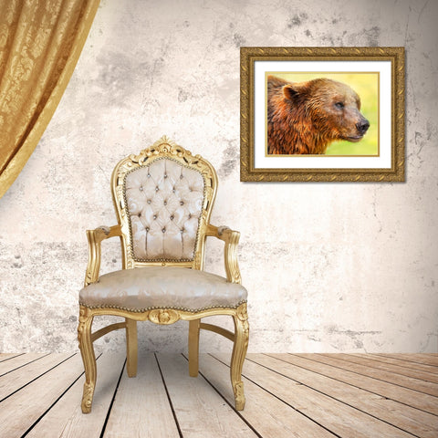 Cute Bear 2 Gold Ornate Wood Framed Art Print with Double Matting by Heine, Ben
