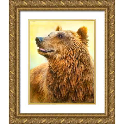 Cute Bear Gold Ornate Wood Framed Art Print with Double Matting by Heine, Ben