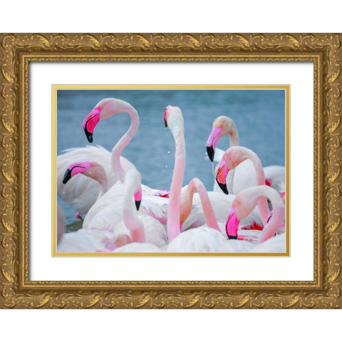 IMG_8897 Gold Ornate Wood Framed Art Print with Double Matting by Heine, Ben