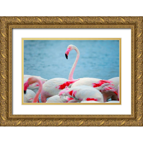 IMG_8978 copy Gold Ornate Wood Framed Art Print with Double Matting by Heine, Ben