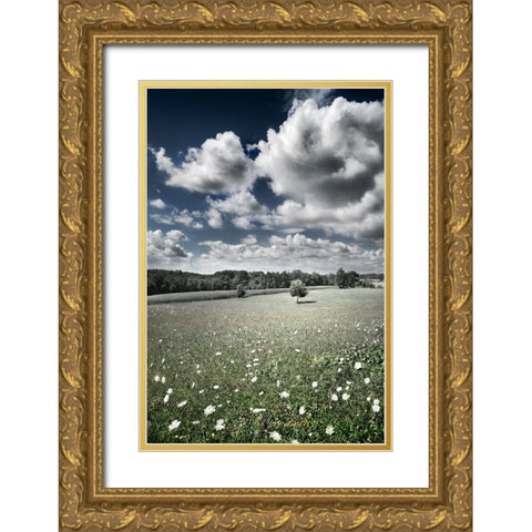 Meadow Gold Ornate Wood Framed Art Print with Double Matting by Heine, Ben