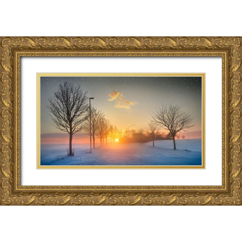 New Year, New Hopes Gold Ornate Wood Framed Art Print with Double Matting by Heine, Ben