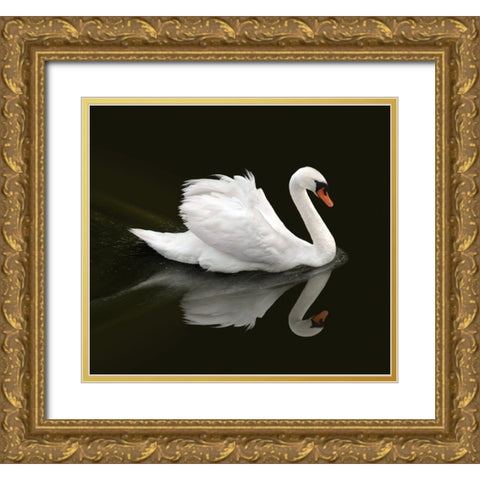 Swan 1 Gold Ornate Wood Framed Art Print with Double Matting by Heine, Ben