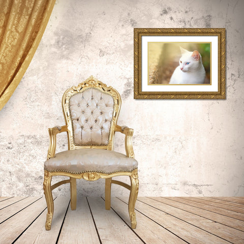 Tunisia 69 Gold Ornate Wood Framed Art Print with Double Matting by Heine, Ben