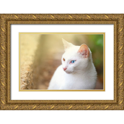 Tunisia 69 Gold Ornate Wood Framed Art Print with Double Matting by Heine, Ben