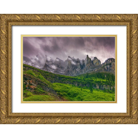 A Majestic Presence Gold Ornate Wood Framed Art Print with Double Matting by Sherrell, Bill