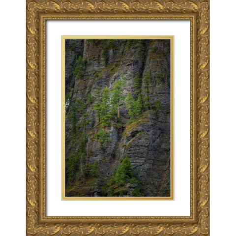 A Place To Grow Gold Ornate Wood Framed Art Print with Double Matting by Sherrell, Bill