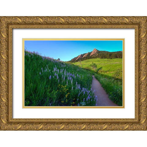A Walk On The Wild Side Gold Ornate Wood Framed Art Print with Double Matting by Sherrell, Bill