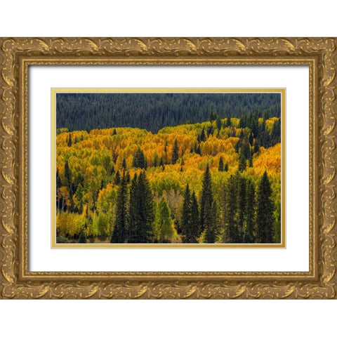 Autumn Flames Gold Ornate Wood Framed Art Print with Double Matting by Sherrell, Bill