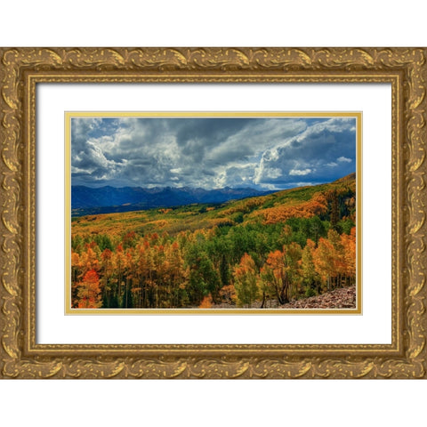 Autumn Illumination Gold Ornate Wood Framed Art Print with Double Matting by Sherrell, Bill