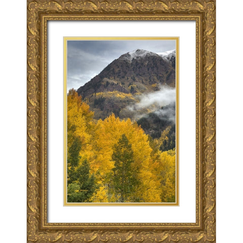 Autumn Moods Gold Ornate Wood Framed Art Print with Double Matting by Sherrell, Bill