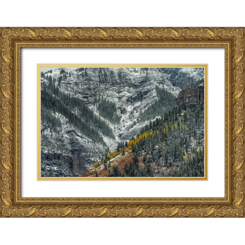 Autumn Slice And Majestic Delineation Gold Ornate Wood Framed Art Print with Double Matting by Sherrell, Bill