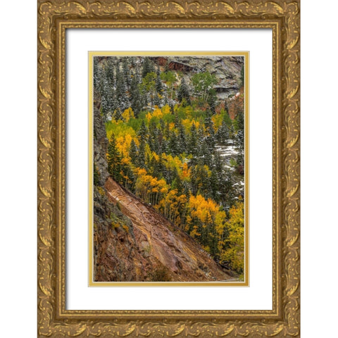 Autumn Spiral Gold Ornate Wood Framed Art Print with Double Matting by Sherrell, Bill