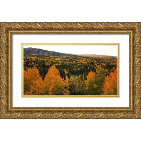 Autumn Sunrise Gold Ornate Wood Framed Art Print with Double Matting by Sherrell, Bill
