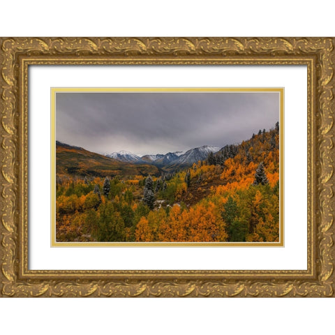 Autumn Wonderland Gold Ornate Wood Framed Art Print with Double Matting by Sherrell, Bill