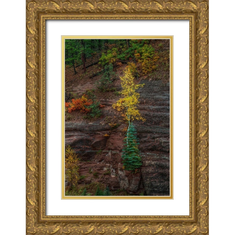 Beautiful Tenacity Gold Ornate Wood Framed Art Print with Double Matting by Sherrell, Bill