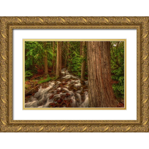 Brook Gold Ornate Wood Framed Art Print with Double Matting by Sherrell, Bill