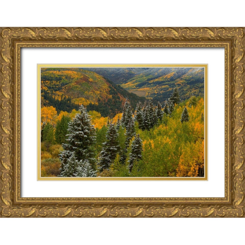 Christmas Tree Autumn Gold Ornate Wood Framed Art Print with Double Matting by Sherrell, Bill