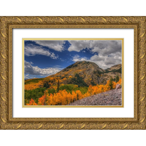 Color In The Clouds Gold Ornate Wood Framed Art Print with Double Matting by Sherrell, Bill