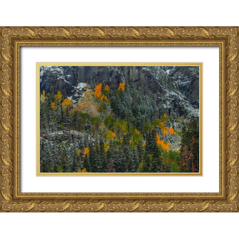 Color Splash Gold Ornate Wood Framed Art Print with Double Matting by Sherrell, Bill