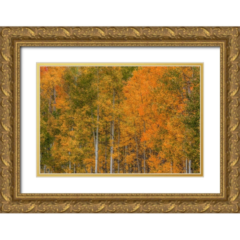Color Transformation Gold Ornate Wood Framed Art Print with Double Matting by Sherrell, Bill