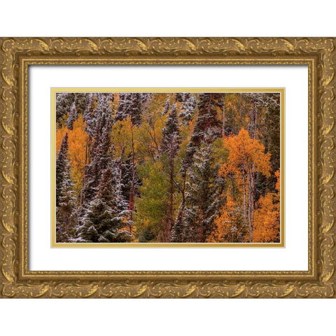 Contrasts Gold Ornate Wood Framed Art Print with Double Matting by Sherrell, Bill