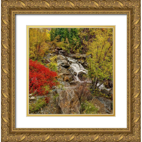 Fall River Gold Ornate Wood Framed Art Print with Double Matting by Sherrell, Bill
