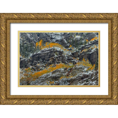 Fire And Ice Gold Ornate Wood Framed Art Print with Double Matting by Sherrell, Bill