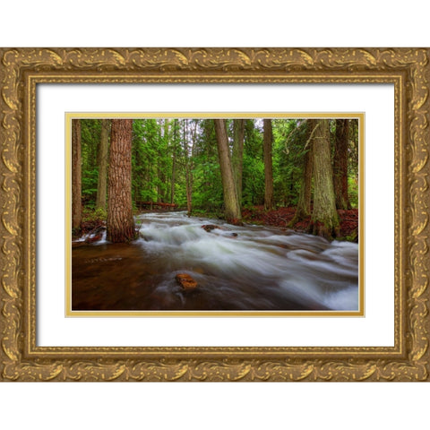 Flow Gold Ornate Wood Framed Art Print with Double Matting by Sherrell, Bill