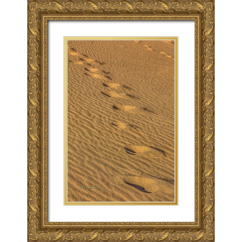 Footprints In The Sand Gold Ornate Wood Framed Art Print with Double Matting by Sherrell, Bill