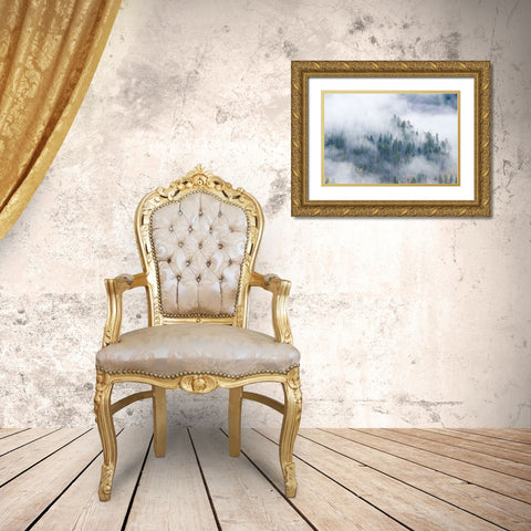 Forest In The Clouds Gold Ornate Wood Framed Art Print with Double Matting by Sherrell, Bill