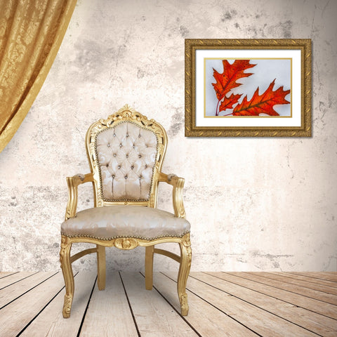 Fragile Transformation Gold Ornate Wood Framed Art Print with Double Matting by Sherrell, Bill