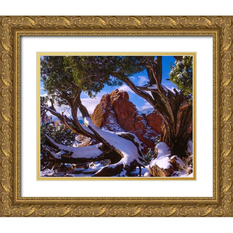Framed By Nature Gold Ornate Wood Framed Art Print with Double Matting by Sherrell, Bill