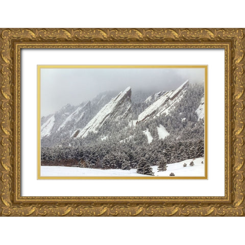 Frozen Rapture Gold Ornate Wood Framed Art Print with Double Matting by Sherrell, Bill