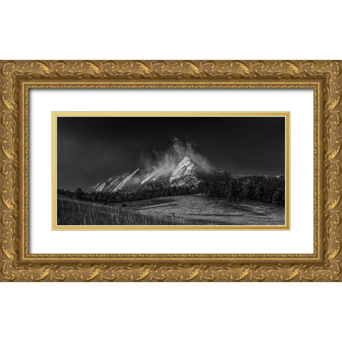 Frozen Whimsey-Black And White Gold Ornate Wood Framed Art Print with Double Matting by Sherrell, Bill