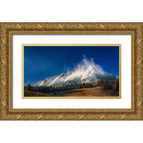 Frozen Whimsy Gold Ornate Wood Framed Art Print with Double Matting by Sherrell, Bill