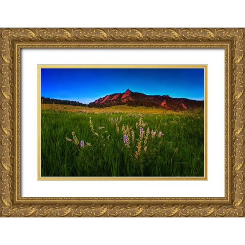 Glowing Flatirons And Wildflowers Gold Ornate Wood Framed Art Print with Double Matting by Sherrell, Bill