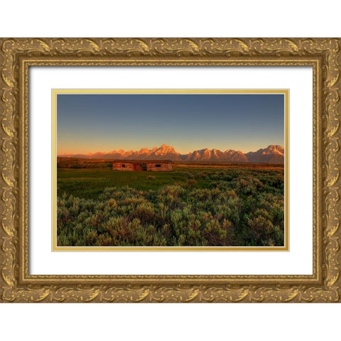 Hardship Amidst Beauty Gold Ornate Wood Framed Art Print with Double Matting by Sherrell, Bill