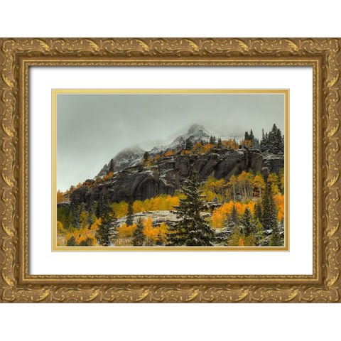 In The Wake Of Autumn Gold Ornate Wood Framed Art Print with Double Matting by Sherrell, Bill
