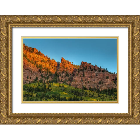 Last Glint Gold Ornate Wood Framed Art Print with Double Matting by Sherrell, Bill