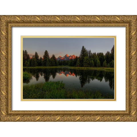 Morning Glory Gold Ornate Wood Framed Art Print with Double Matting by Sherrell, Bill