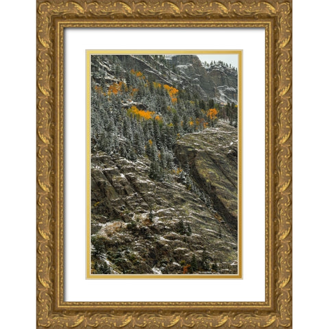Outlines And Color Slivers Gold Ornate Wood Framed Art Print with Double Matting by Sherrell, Bill