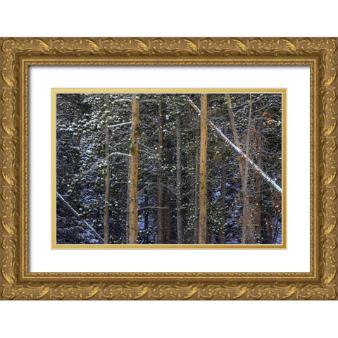 Outlines Gold Ornate Wood Framed Art Print with Double Matting by Sherrell, Bill